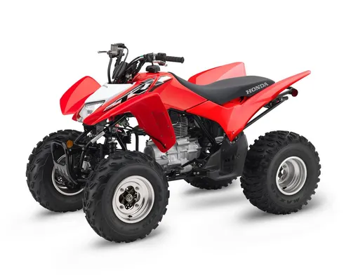 TRX250TE1L
